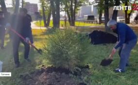 Сотрудники УФССП России по Ленобласти озеленили сквер в Гатчине