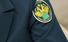 От виски до вандализма: попытка провезти алкоголь обернулась для россиянки уголовным делом