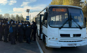 Новый маршрут 603А связал поселок Свердлова со станцией «Колтуши»