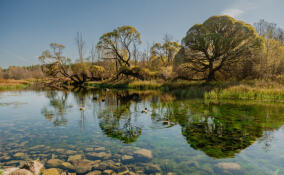 Александр Дрозденко поделился снимками осенних пейзажей Ленобласти