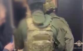 Подпольные криптофермы ликвидировали в Петербурге и Ленобласти