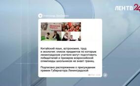В Ленобласти наградят педагогов, воспитавших медалистов всероссийского уровня