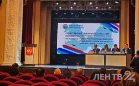 В Гатчине пройдут общественные слушания о создании лесопаркового зеленого пояса