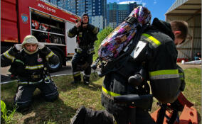 В Ленобласти за неделю потушили 92 пожара