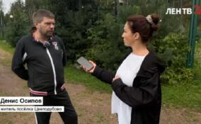 Жители Цвелодубово пожаловались, что ситуация с самовольно захваченной дорогой до сих пор не решена