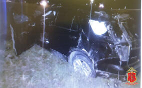 Иномарка опрокинулась на трассе «Нарва»: пострадали женщина и двое детей