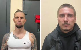 Двух жителей Гатчины задержали за похищение человека