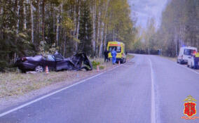 Уголовное дело завели после смертельного ДТП в Тихвинском районе