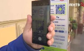 В популярных туристических городах Ленобласти могут появиться платные парковки