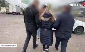 В 20 тысяч рублей оценила убийство своего мужа 56-летняя жительница Тосно