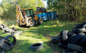 В четырех районах Ленобласти ликвидировали свалки