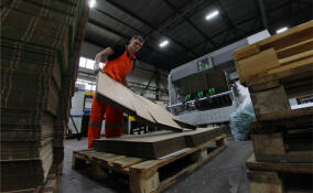 В Ленобласти завод CLT-панелей выставили на торги за 2,6 млрд рублей