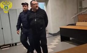 Начальника склада с паленым алкоголем в Ленобласти отправили в СИЗО