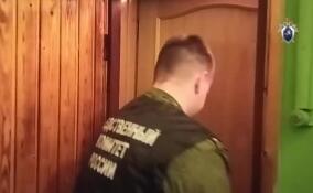 Петербуржца будут судить за убийство собственной бабушки в Петербурге