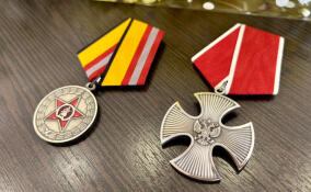 Семьям погибших участников СВО из Лужского района передали их награды