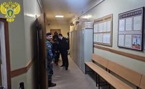 В Тосненском районе суд арестовал женщину, заказавшую убийство мужа