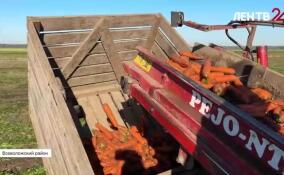 Агрономы Всеволожского района начали сбор урожая