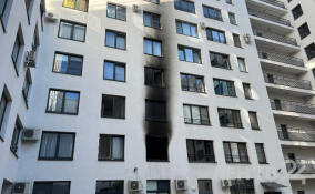 В Петербурге мужчина убил соседа на глазах у дочери и покончил с собой