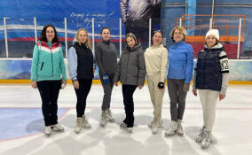 Госслужащие Ленобласти примут участие в фестивале «Звездный лед»