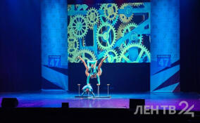 На сцену Дворца искусств Ленобласти вышли лучших любительские цирковые коллективы страны