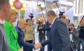 Достижения Ленобласти в сельском хозяйстве представили премьер-министру Мишустину