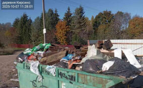 Строительные отходы помешали вывезти мусор с контейнерной площадки в Кирсино