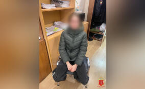 12-летняя девочка подожгла вышку сотовой связи в Приморском районе