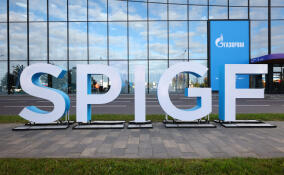 Ленобласть вошла в число лидеров по протяженности газовых сетей