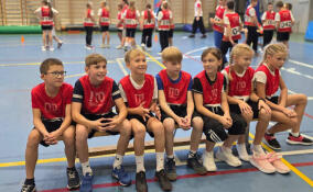 В Гатчине проходит областной фестиваль ГТО