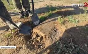 Специалисты госэкоконтроля взяли пробы земли с территории незаконной свалки в деревне Скотное