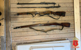 В поселке Новинка у «черного копателя» нашли гранату, винтовки и патроны