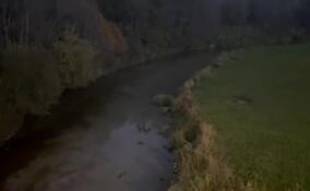 Реку Охту в Мурино загрязнили мутными стоками со стройплощадки