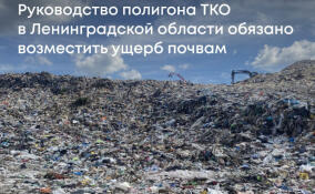 Руководство мусорного полигона под Выборгом заплатит 4 млн рублей за загрязнение почвы