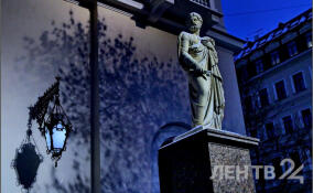 Политолог Дмитрий Гавра рассказал о приоритетах в бюджете Петербурга на 2026 год