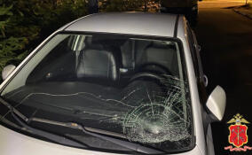 Уголовное дело завели после ДТП с пострадавшим подростком в Отрадном