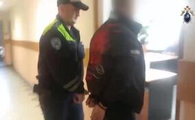 В Гатчинском округе двух мужчин арестовали за похищение человека