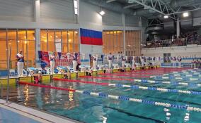В Кингиссепе проходят чемпионат и первенство СЗФО по плаванию