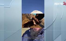 Во время съемок в горах Дагестана орел атаковал беспилотник