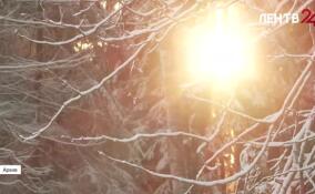 Жителям европейской части страны стоит подготовиться к аномально холодной зиме