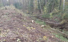 В Сланцевском районе расчистят русло реки Сиженки