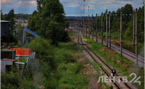 15-летняя зацеперша решила прокатиться между вагонами электрички до Луги