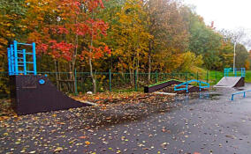 В Первомайском открыли новую скейт-площадку