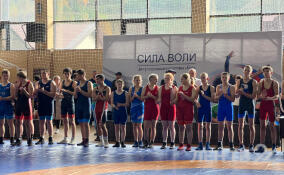 В Токсово проходят ежегодный Чемпионат и Первенство Ленинградской области по вольной и греко-римской борьбе