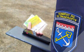 Масштабный удар по нелегальному такси: МТК изъяла десятки автомобилей