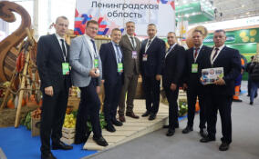 Ленобласть получила Гран-при и золотую медаль за вклад в развитие выставки «Золотая осень» 2025 года