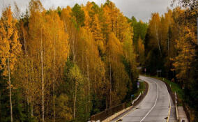 Осенний марафон благоустройства: в заказниках Ленобласти готовятся к новому сезону