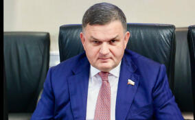 Сергей Перминов: Практика по субсидированию подключения к газу в Ленобласти считается одной из лучших в России