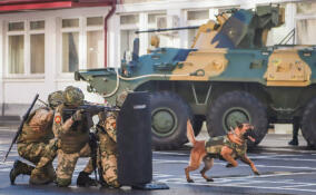 От дронов до кинологов: Росгвардейцы провели занятия для школьников Ленобласти