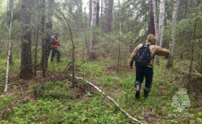 Трагедия в СНТ «Сирень»: тело пропавшего мужчины нашли недалеко от дома
