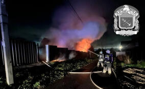 Пожар в деревне Перекюля локализован силами спасателей Ленобласти и Петербурга